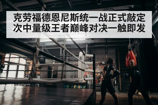 boxer training