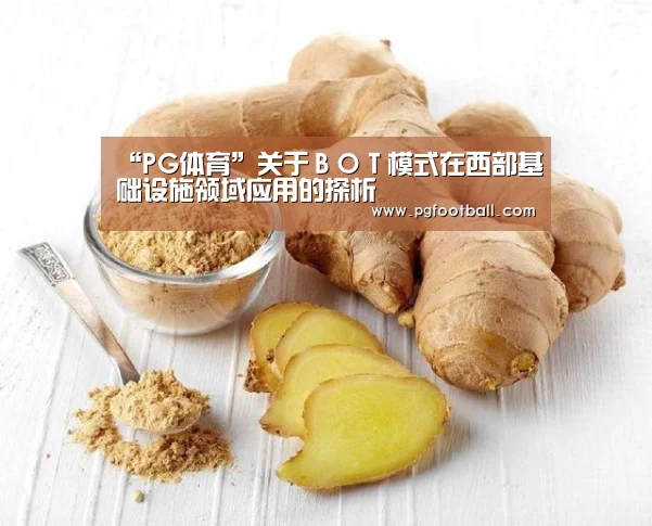 PG导航