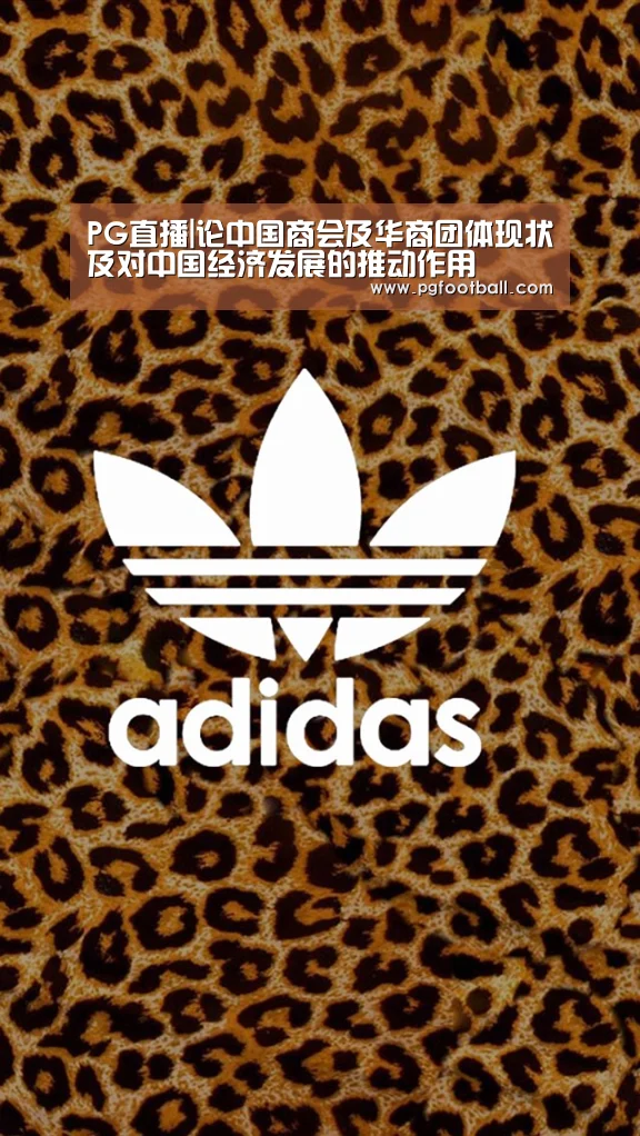 PG专区